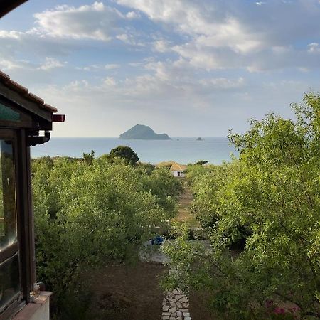 Villa Anta House By The Sea Lithakia  Екстериор снимка