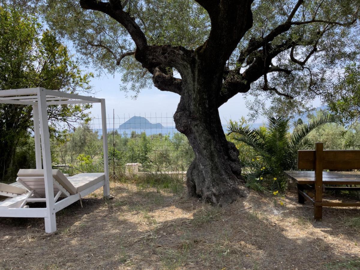 Villa Anta House By The Sea Lithakia  Екстериор снимка