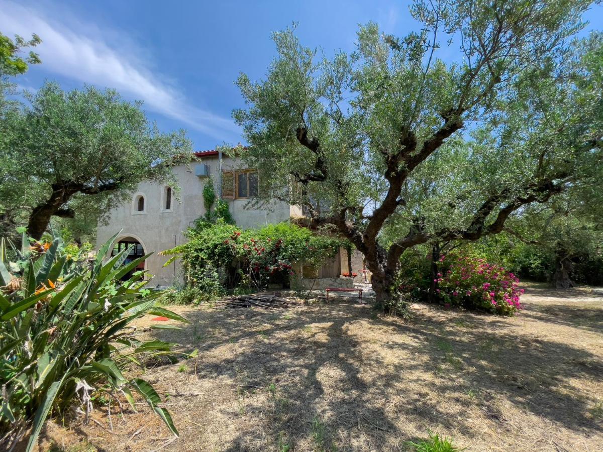 Villa Anta House By The Sea Lithakia  Екстериор снимка