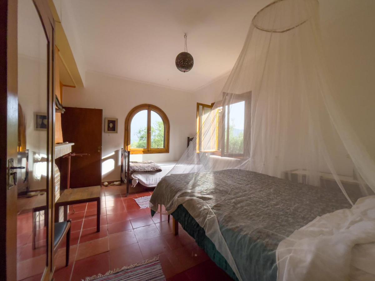 Villa Anta House By The Sea Lithakia  Екстериор снимка