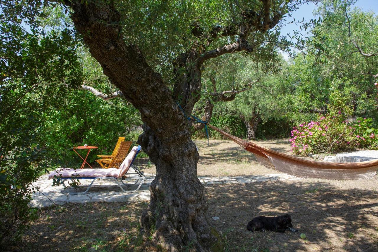 Villa Anta House By The Sea Lithakia  Екстериор снимка